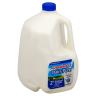 Dairy Pure - 2 Reduced Fat Milk Gallon