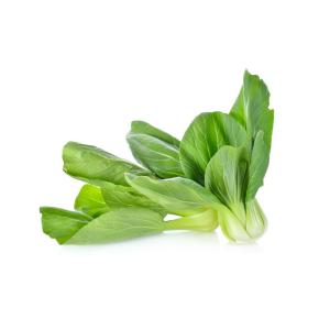 Fresh Produce - Bok Choy