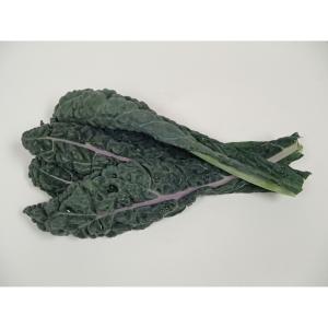 Fresh Produce - Cabbage Tuscan