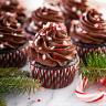 Chocolate Peppermint Cupcakes – Urban Meadow