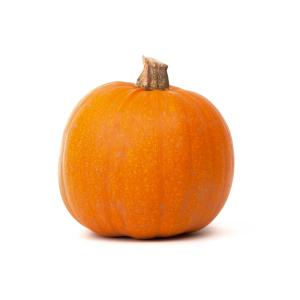 Fresh Produce - Pumpkin Decorative