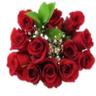 Floral - Doz 50 cm Rose Bqt Red