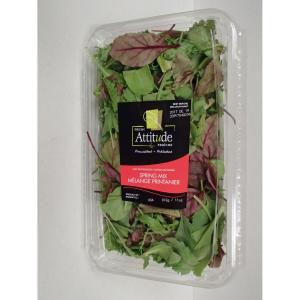 Fresh Attitude - Organic Spring Mix