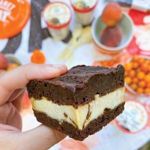 Fudgy Brownie Ice Cream Sandwiches - Planet Oat