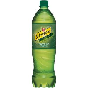 Schweppes - Ginger Ale 1 255tr