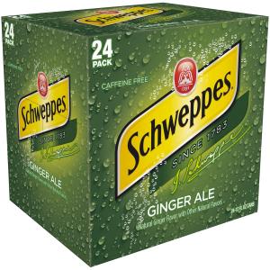 Schweppes - Ginger Ale 24pk Cube