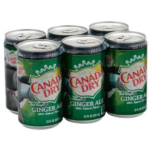 Canada Dry - Ginger Ale 6pk Mini Can