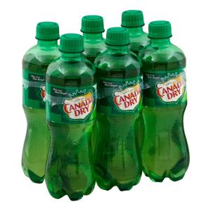 Canada Dry - Ginger Ale 6pk16 9oz