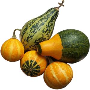 Produce - Gourds