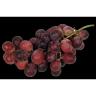 Fresh Produce - Grapes Red Globes