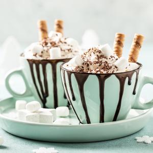 Hot Chocolate Ice Cream - Urban Meadow®
