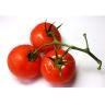 Produce - Imported Tomatoes Red Vine