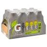 LEMON LIME SPORTS DRK 12PK