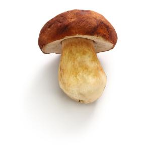 Fresh Produce - Mushroom Cep
