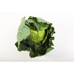Fresh Produce - Organic Green Cabbage