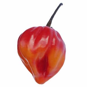 Produce - Pepper Jamacian Hot
