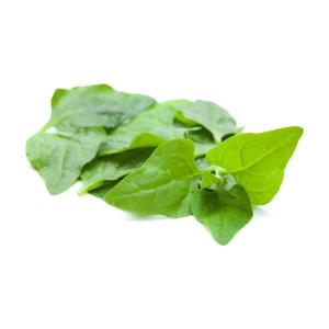 Bulk - Spinach New Zealand