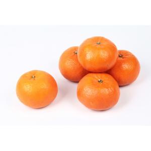 Florida - Tangerine Clementine