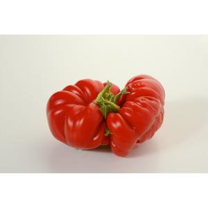 Produce - Tomato Uglyripes