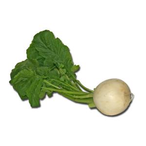 Produce - Turnip White