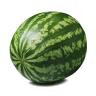 Fresh Produce - Watermelon Red